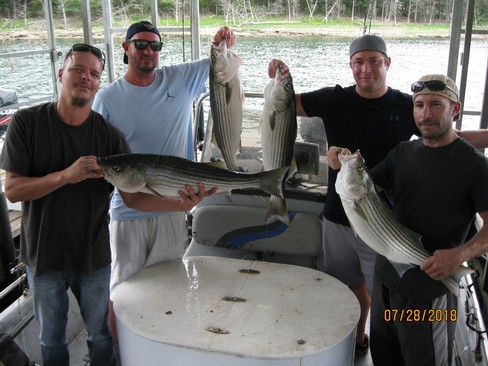 Nice Striped Bass